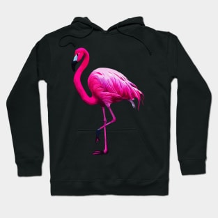 Pink Flamingo Hoodie